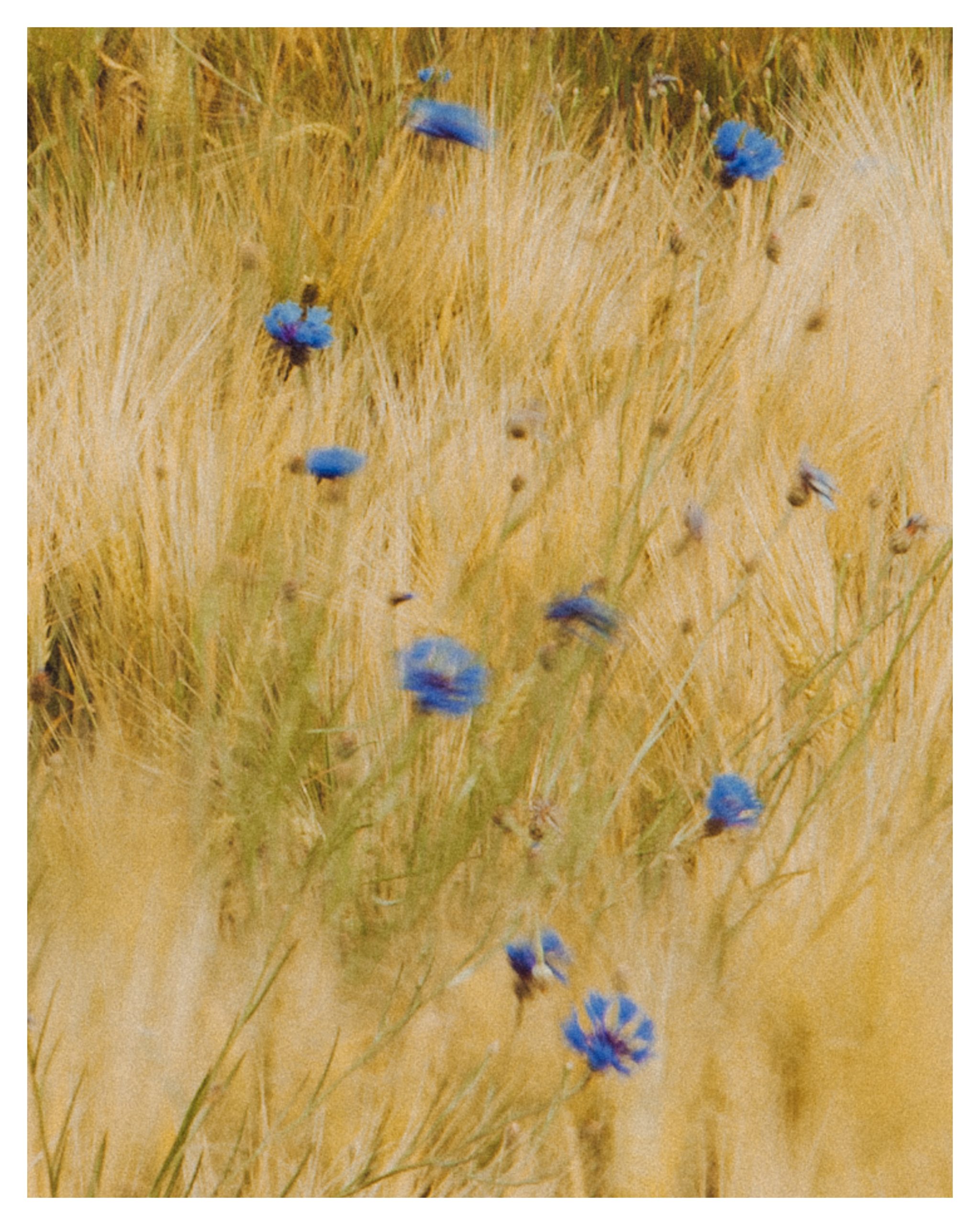 Robin Grolleau photographe